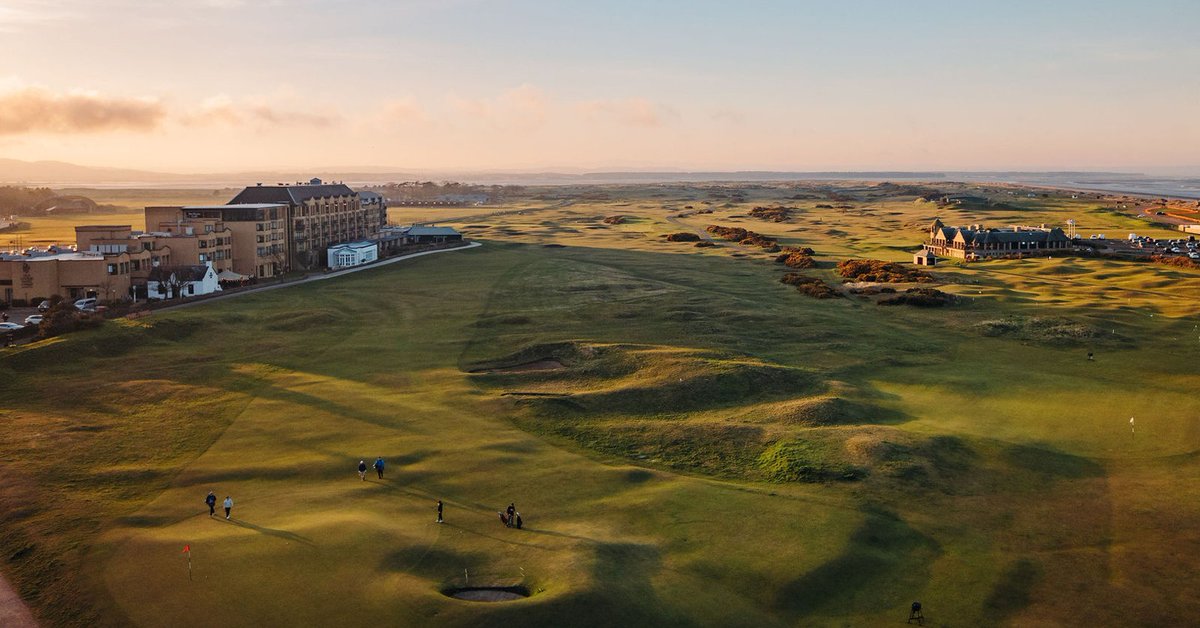 The Experience Golf tweet media