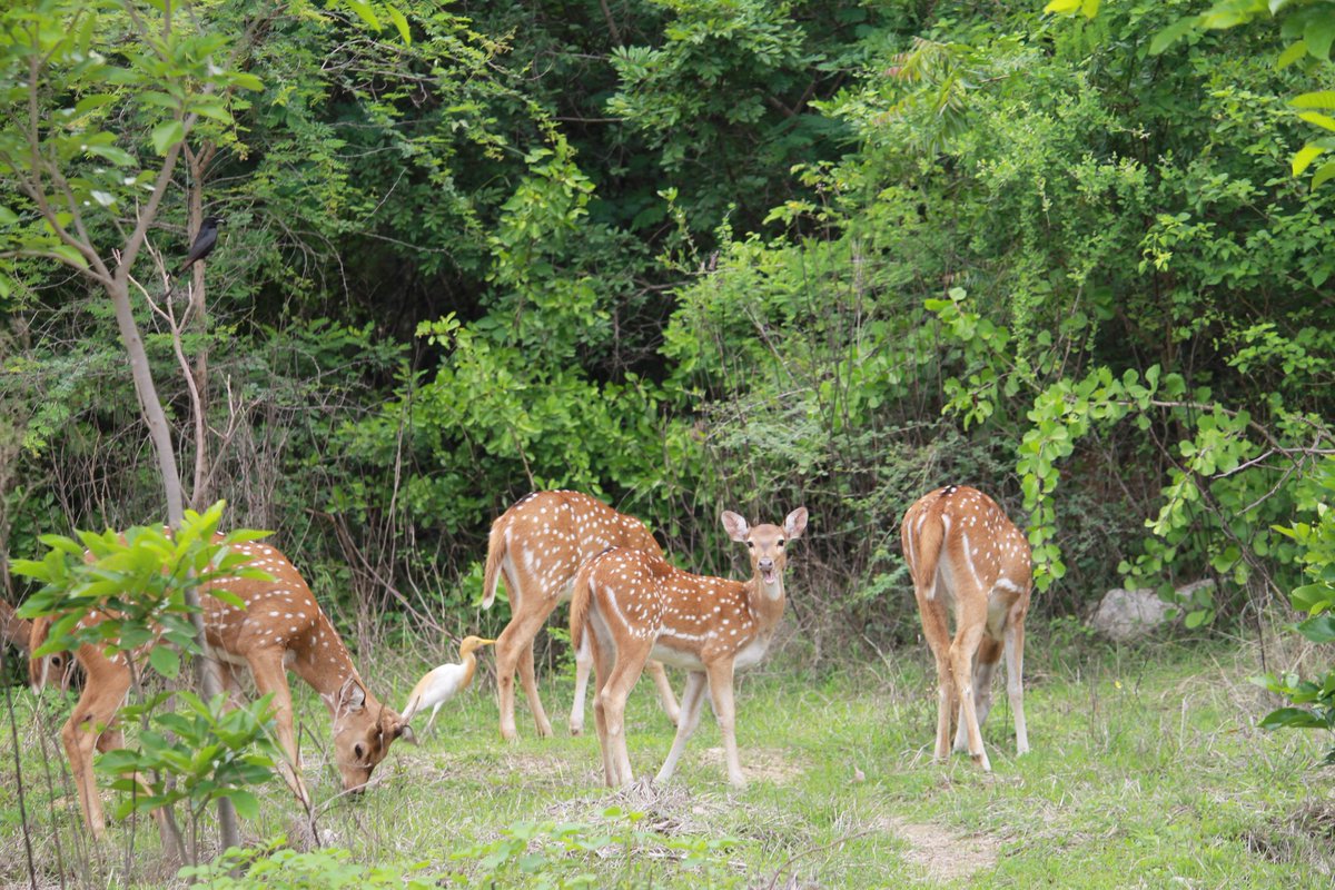 Capturing the Beauty of UoH Campus

The University of Hyderabad campus is a haven for nature lovers!

Dr. Vijay P. Kanawade's stunning pictures for the University Calendar 2025 showcase the vibrant flora and fauna that call our campus home.

From breathtaking sunsets to intricate
