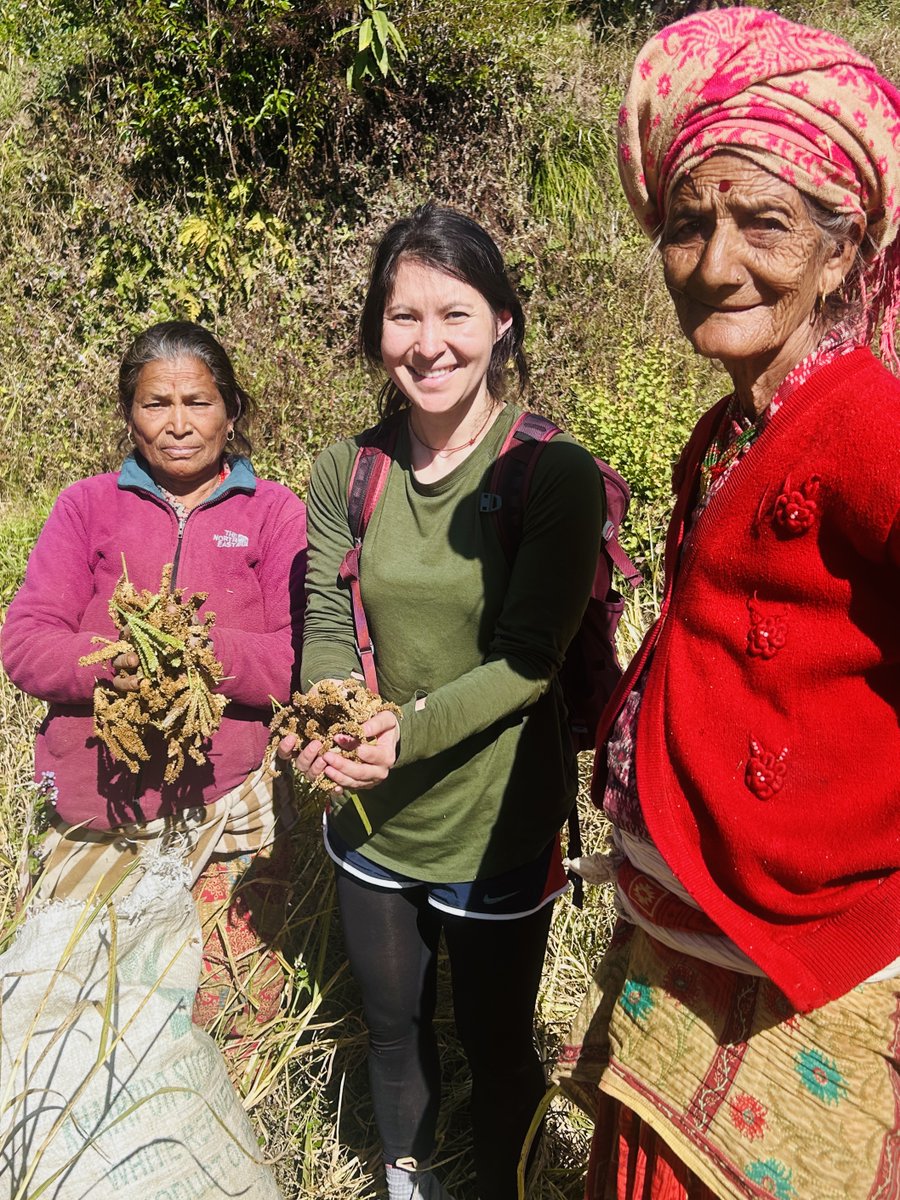 Fulbright researcher Mika Ulmet spent 10 months in Nepal documenting the cultural significance of kodo (finger millet), an indigenous grain in decline.  The Fulbright U.S. Student Program in Nepal offers similar opportunities for aspiring researchers.

usefnepal.org/fulbright/for-…