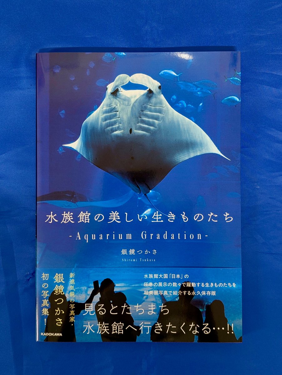 【本日入荷の気になる新刊】
『水族館の美しい生きものたち　-Aquarium Gradation-』
（銀鏡つかさ／KADOKAWA）
kadokawa.co.jp/product/322410…
【三条店／山田】