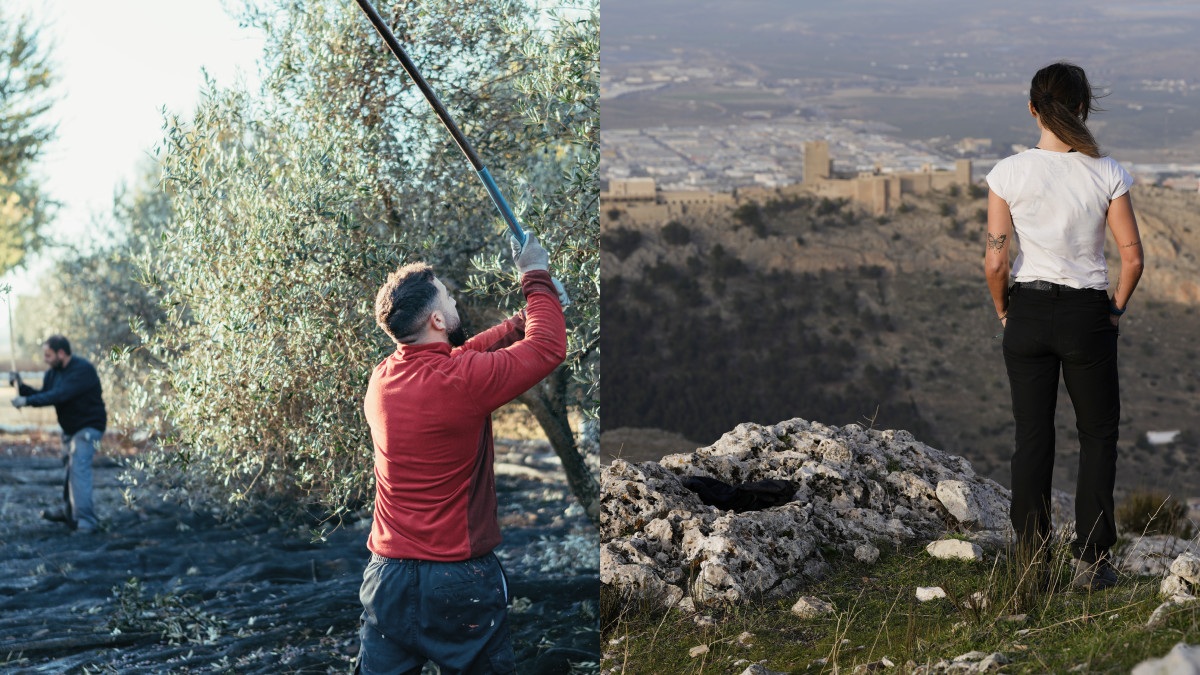 Spain (@spain) on Twitter photo In #Jaén, Andalucía, olive picking is a way of life. These groves are where families bond, stories are passed down and Spain’s flavours are born. 💚🫒
👉 travelspain.info/JaenProvince
#visitspain #youdeservespain #SpainGastronomy #SpainSustainable <a href="/viveandalucia/">Vive Andalucía</a> <a href="/turismodejaen/">Turismo Jaén</a> In #Jaén, Andalucía, olive picking is a way of life. These groves are where families bond, stories are passed down and Spain’s flavours are born. 💚🫒
👉 travelspain.info/JaenProvince
#visitspain #youdeservespain #SpainGastronomy #SpainSustainable <a href="/viveandalucia/">Vive Andalucía</a> <a href="/turismodejaen/">Turismo Jaén</a>