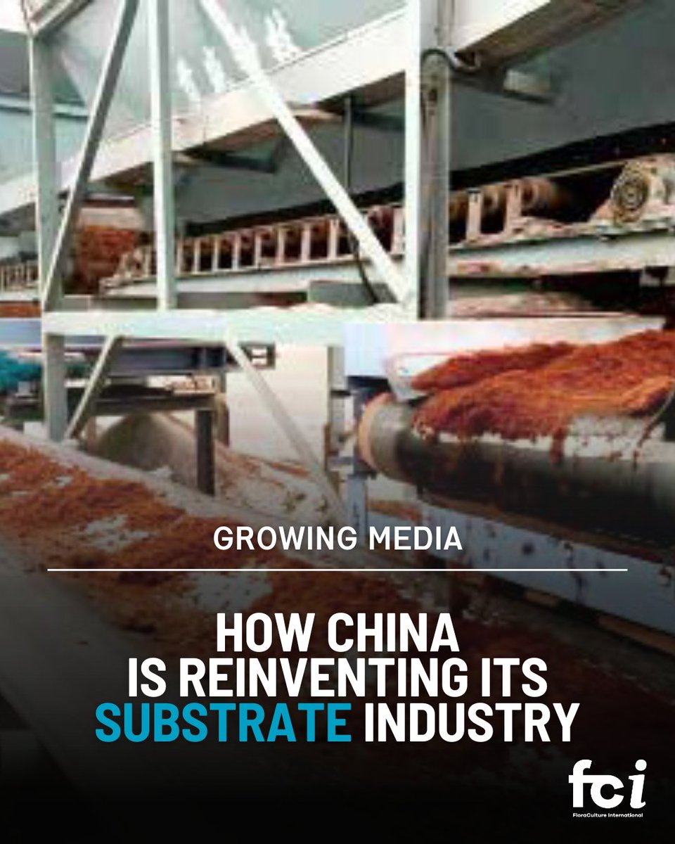 Facing rising costs and shifting markets, China’s growers and suppliers are exploring new materials,
new partnerships, and a smarter way to grow. 

Read more on page 42 of the latest FCI magazine: aiph.org/floraculture/l…