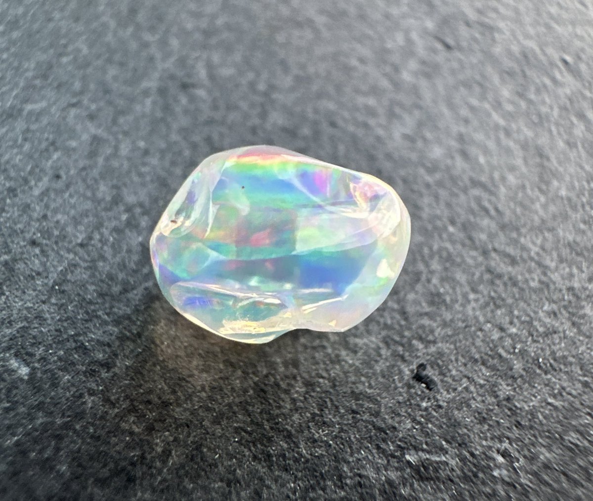 久しぶりの晴れ間にオパール🌈