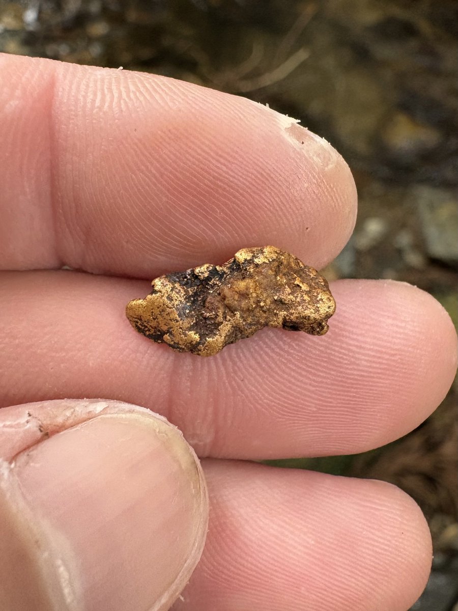 金*粒様 砂金(18) 金*粒様 砂金(18) 金*粒様 砂金(18)