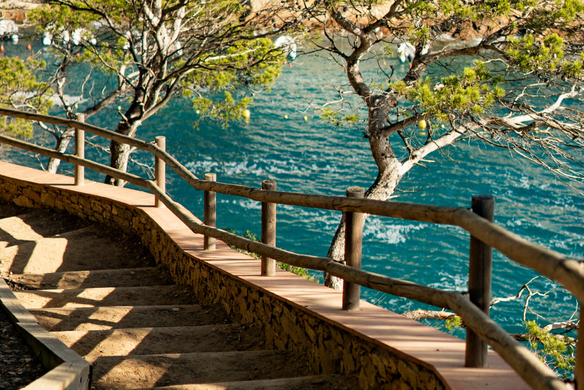 Visit Catalonia tweet media