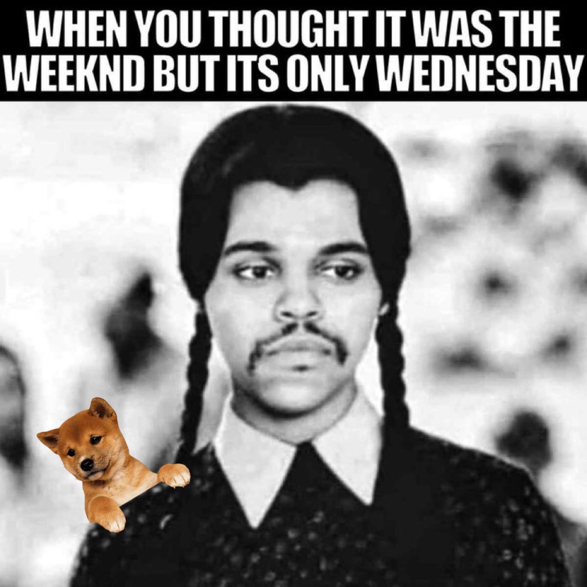 Good morning ☕️ ☀️ GM 😊 

What’s UPDOG?

Rise and Shine ✨ 

Happy Wednesday! 🎉 

We’re getting there! 💪