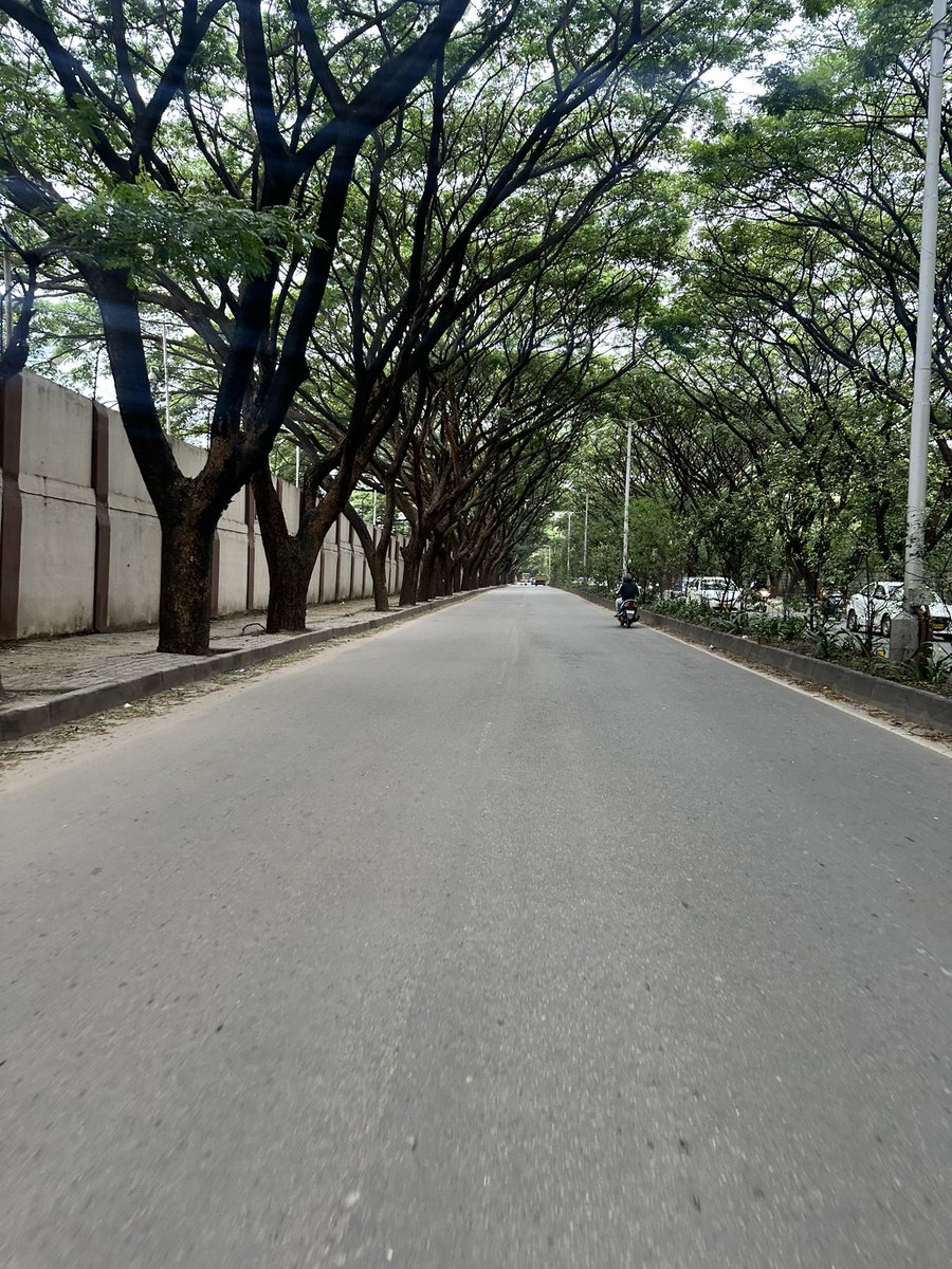 Best road to drive in Bengaluru 💚