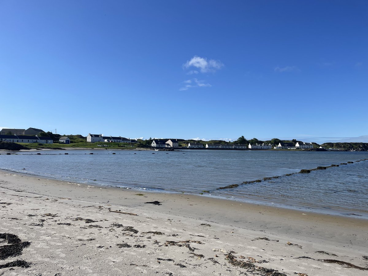 Winna Ding tweet media