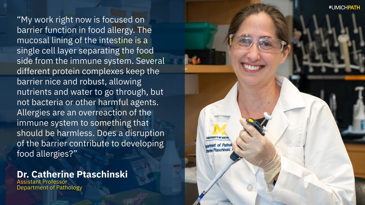 Dr. Catherine Ptaschinski didn’t start in science; she found it through curiosity, detours, and discovery. From music to microbiology, her journey shows that changing your mind isn’t failure, it’s growth. michmed.org/4kNQg