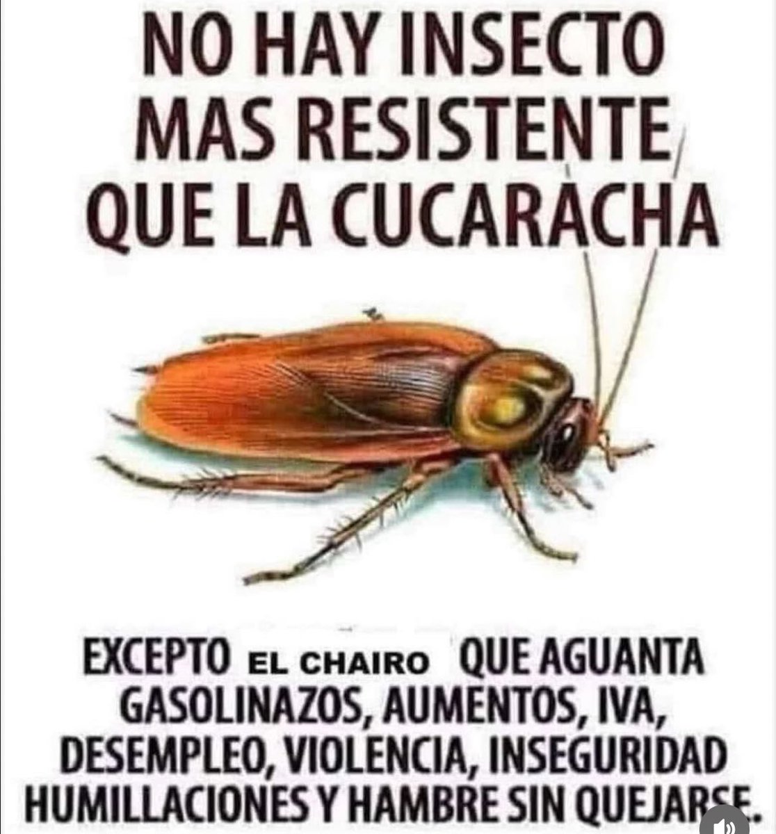 🤣🤣🤣