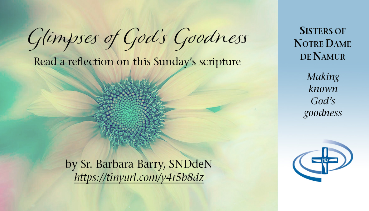 Read a reflection on this Sunday’s scripture by Sr. Barbara Barry, SNDdeN tinyurl.com/y4r5b8dz