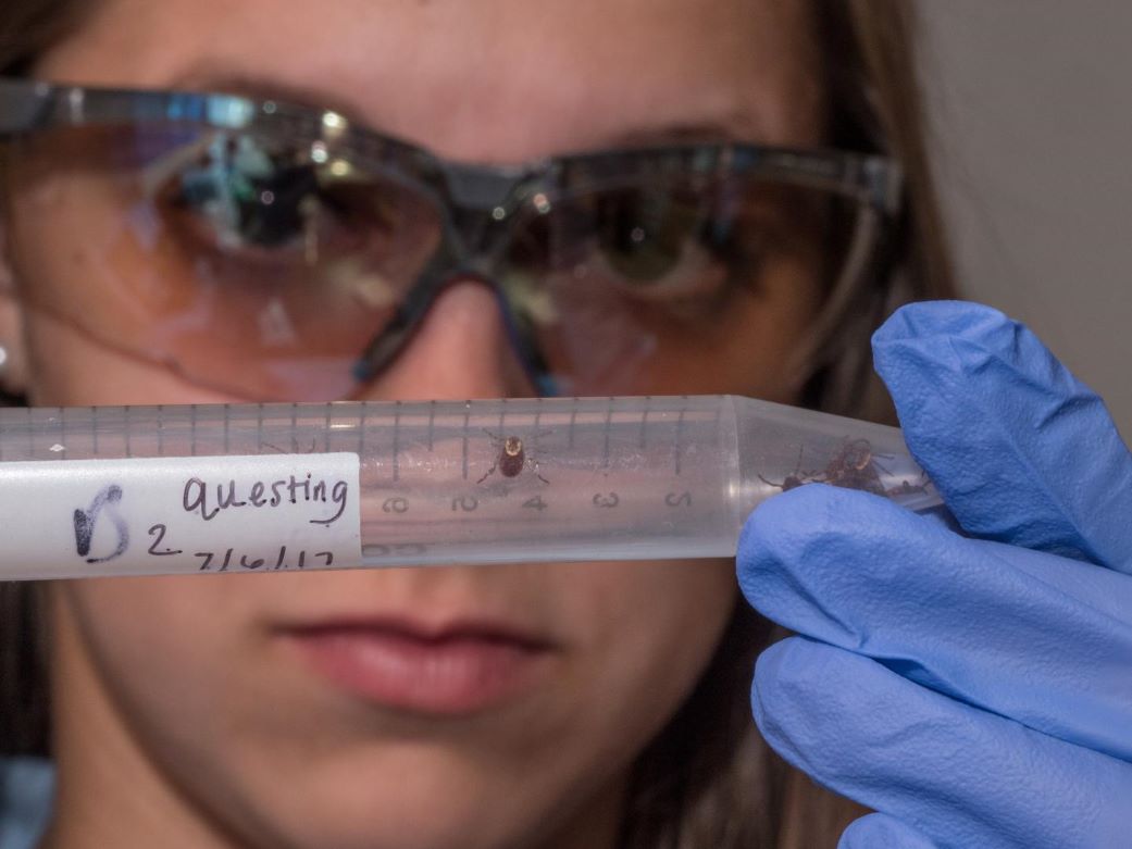 🚨Lyme disease cases are on the rise in the United States, and the NSF is conducting extensive research to improve our understanding of the disease, how it is transmitted and how to limit its spread. Learn more: bit.ly/3SUul3N

📸: Jay Yocis/UC Creative Services