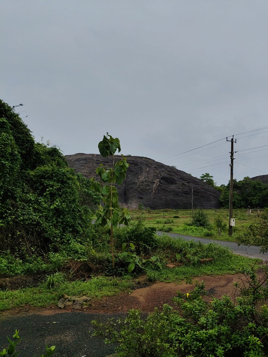 Udupi is beautiful ❤️