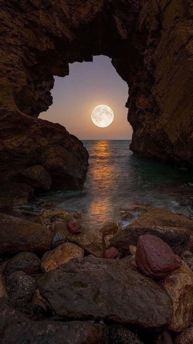 MOON LOVER tweet media