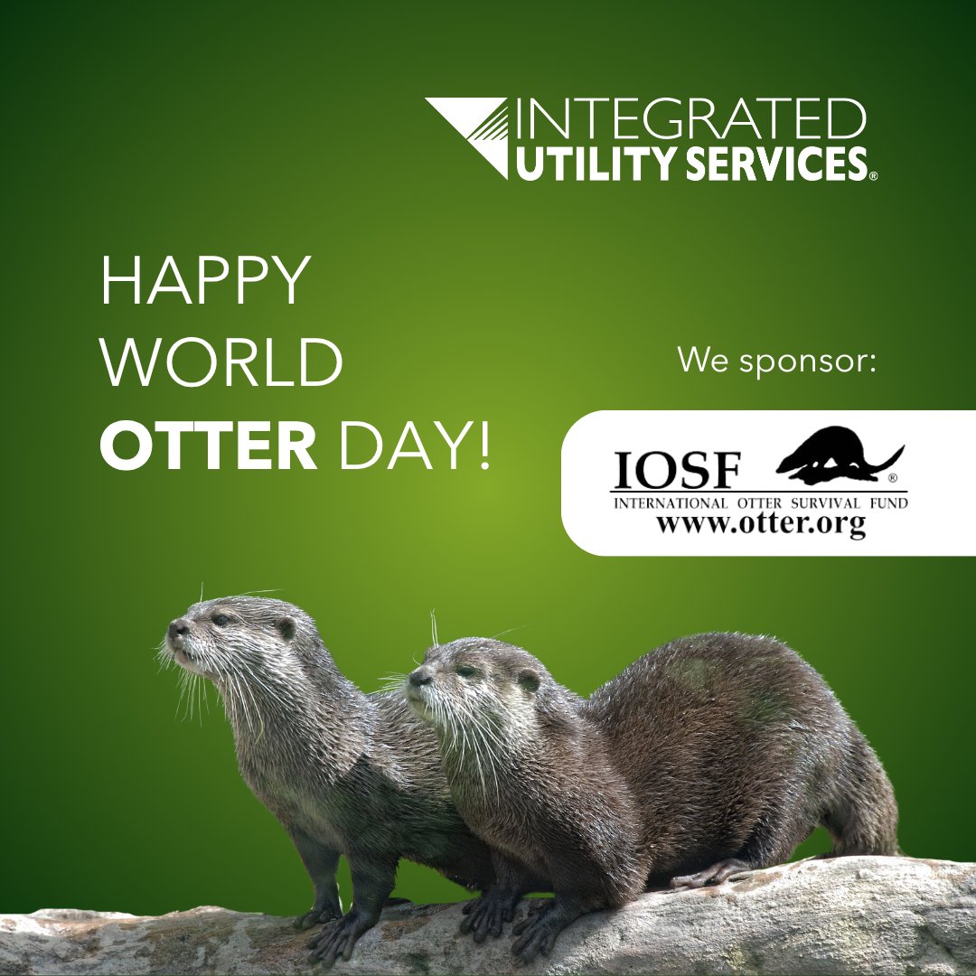 Integrated Utility Services (@integratedus) on Twitter photo 🌍🐾 Happy #WorldOtterDay! 🦦💧
At @integratedus we’re proud to support <a href="/IOSF/">International Otter Survival Fund (IOSF)</a> as part of our commitment to protecting biodiversity & giving back to the environment
#Otters are vital indicators of healthy waterways & just like us, they rely on clean, sustainable infrastructure 🌍🐾 Happy #WorldOtterDay! 🦦💧
At @integratedus we’re proud to support <a href="/IOSF/">International Otter Survival Fund (IOSF)</a> as part of our commitment to protecting biodiversity & giving back to the environment
#Otters are vital indicators of healthy waterways & just like us, they rely on clean, sustainable infrastructure