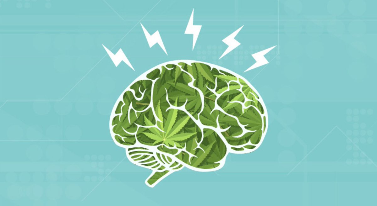 Tomorrow, May 29th Join us for a free livestream w/ U-M experts from Psychiatry &amp; the Injury Prevention Center. Discover the latest research on cannabis use. Ask questions live! Don’t miss out!  #CannabisTalks #UMichLive #MentalHealthMonth michmed.org/92AQg
