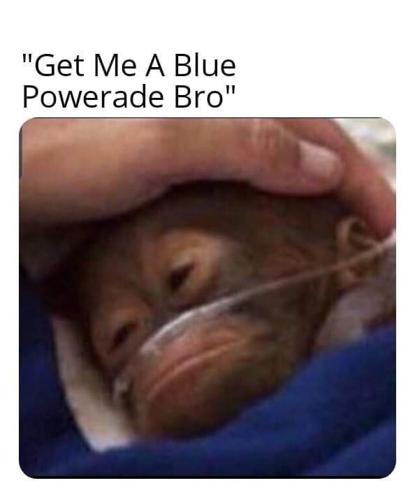 JortsAndCrocs (@jorts_and_crocs) on Twitter photo 