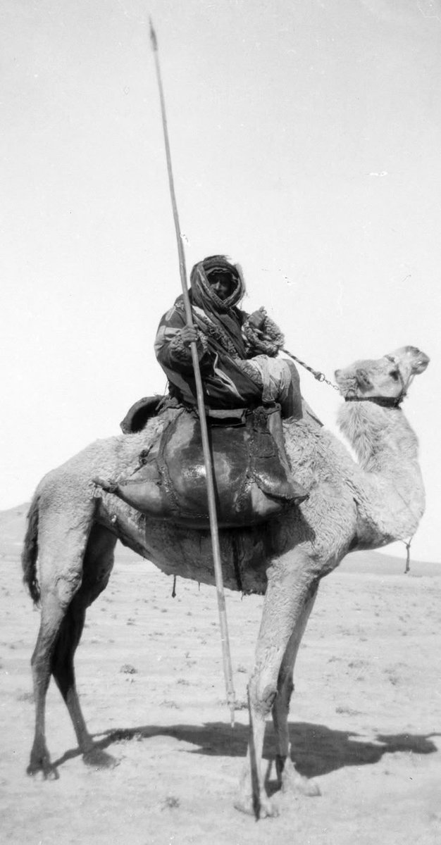 صورة نادرة محارب
 بدوي من قبيلة السبعة من عنزة على ظهر جمله في صحراء تدمر عام 1890 
يحمل رمحًا وتتدلّى قِرَب الماء عن جانبيه. التقط الصورة جون ديفيد ضمن أعمال المستعمرة الأمريكية في القدس.