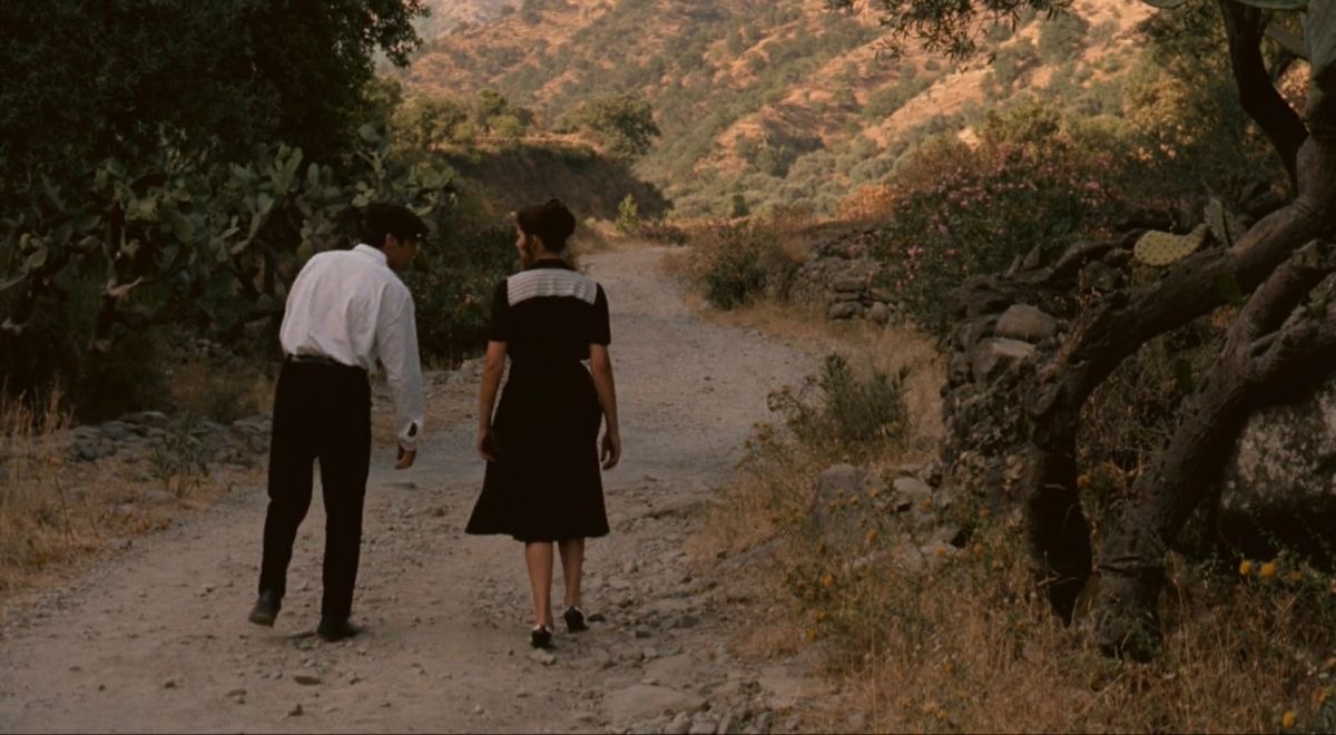 best of mafia cinema (@themafiapoint) on Twitter photo 