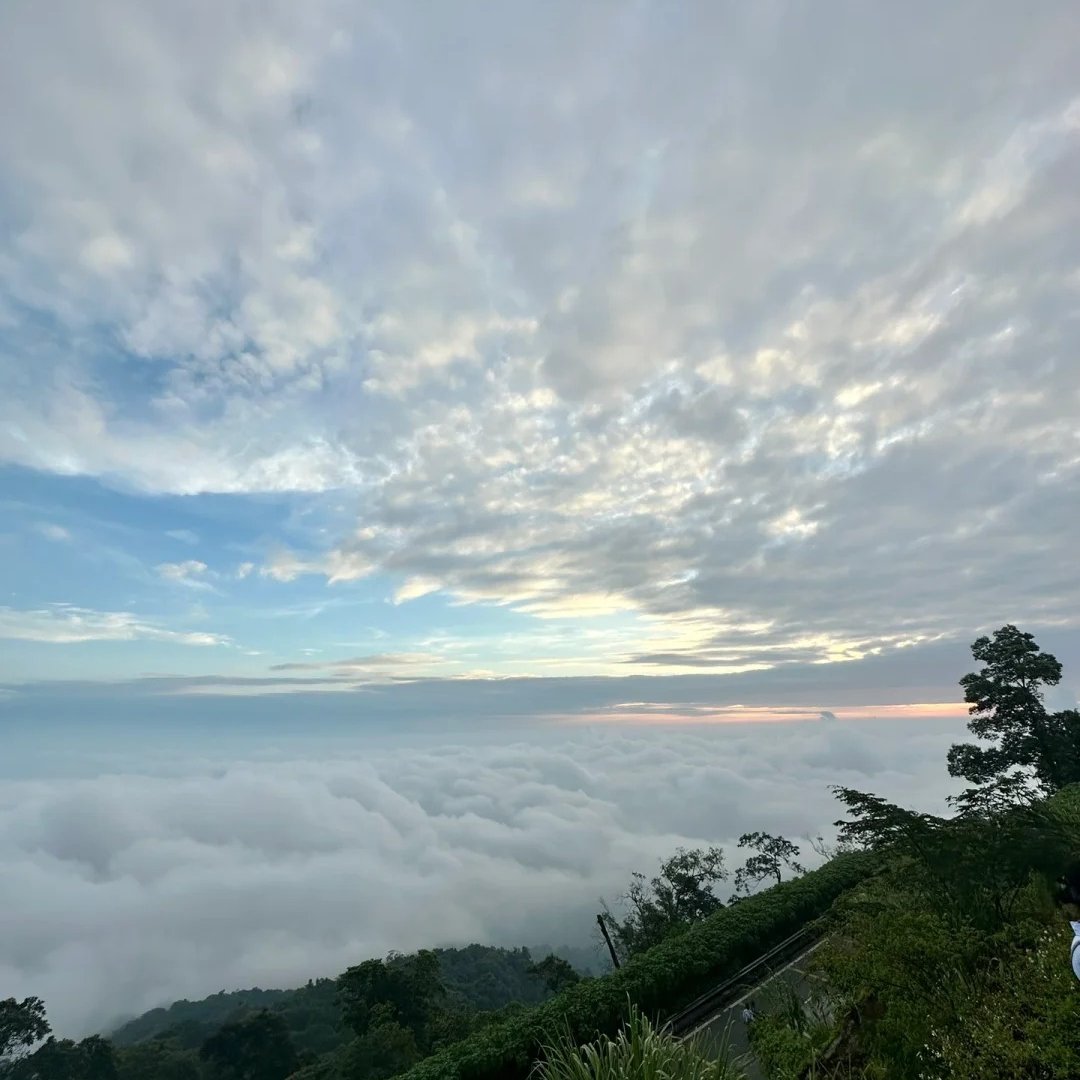 whatThese_on's tweet image. 