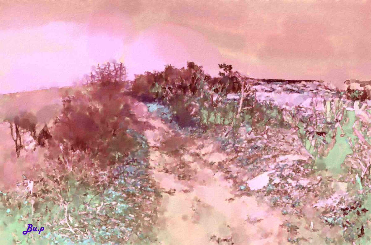 invitimage's tweet image. 