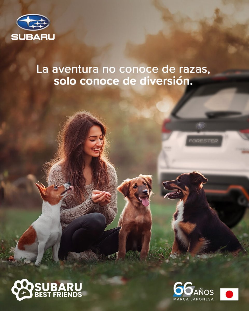 Celebramos el día del perro sin raza, gracias por tanto.  🐶💙