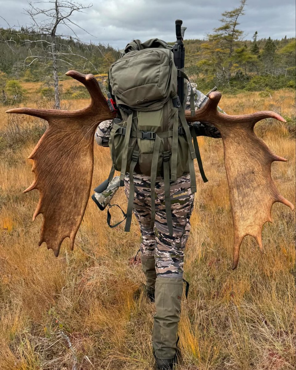 BrowningAmmo's tweet image. Chasing the wild. Conquering the hunt.

#BrowningAmmuniton #MooseHunting #MountainHunting #BigGame

📸Shaundi Campbell