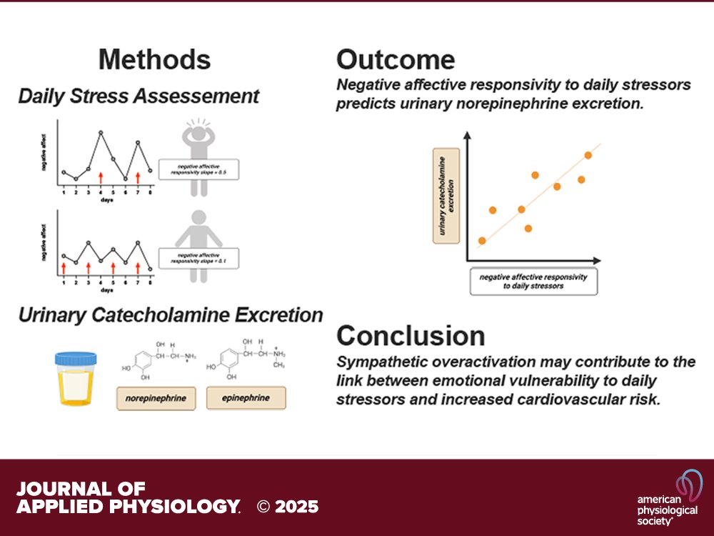 japplphysiol's tweet photo. Research Article by EM Gloger et al. (@Penn_State @UDelaware) Greater negative affective responsivity to #dailystressors is positively related to #urinary #norepinephrine excretion in middle-aged adults | #sympatheticnervoussystem
https://t.co/0QbW2PDRSg https://t.co/1gJjlLeOms