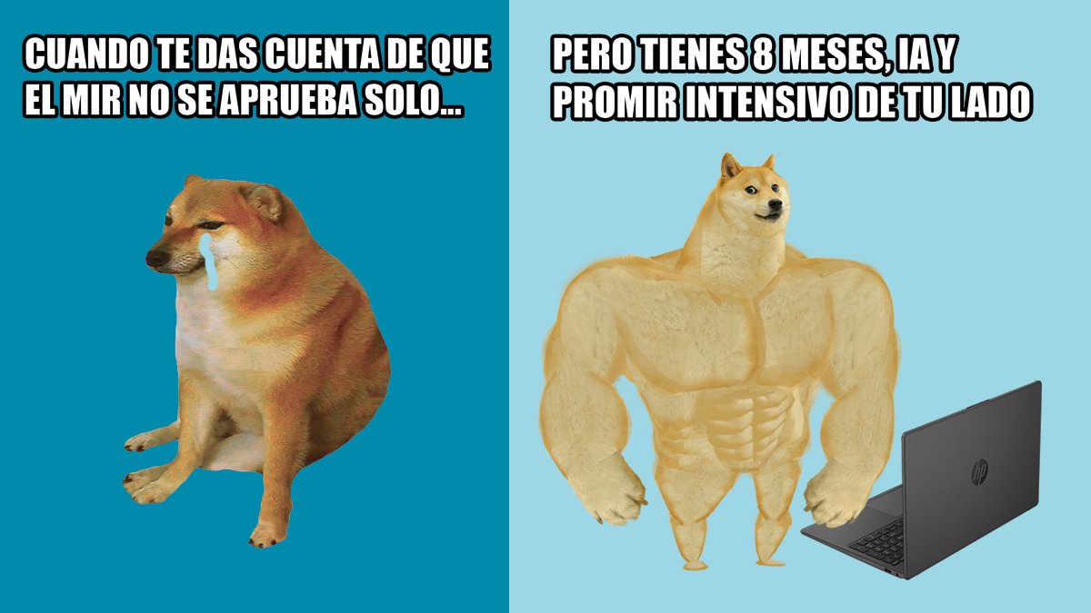 💥 Hoy arranca el Curso PROMIR Intensivo y queremos darte la bienvenida oficial. Por delante quedan 8 meses de trabajo y dedicación, pero no te preocupes, que estaremos a tu lado.