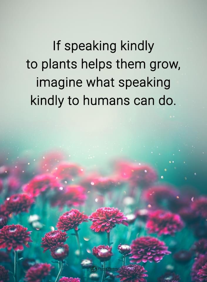 Imagine... 🌱