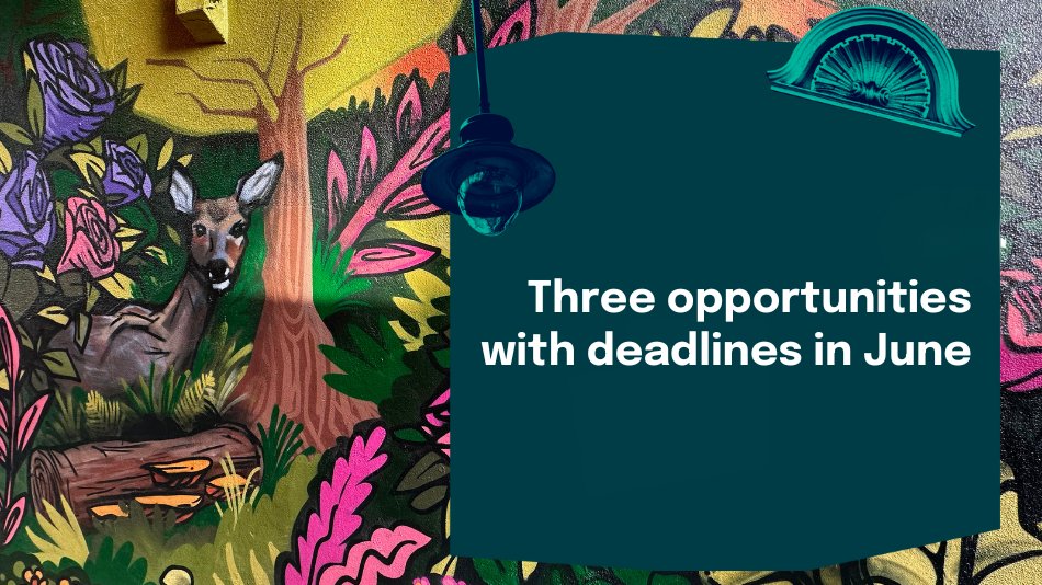 CreativeCentNCL's tweet image. We've got 3 artist call outs with deadlines in June! The deadline for our £30k Grainger Market Wayfinding Commission is 9 June. We're looking for an artist to create visually impactful, ceiling-hung installations that help visitors navigate the market.
creativecentralncl.co.uk/opportunities/…