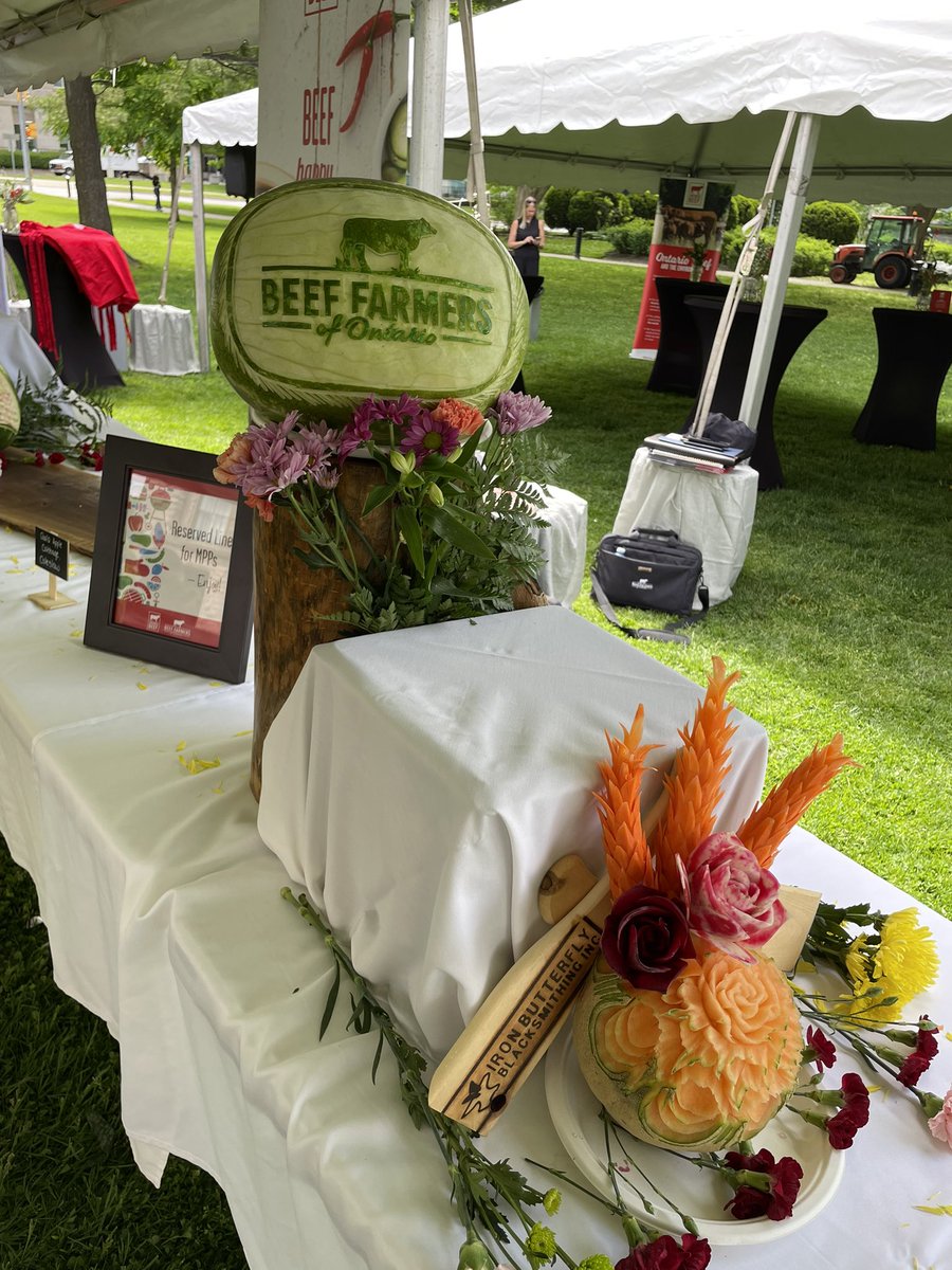 BeefFarmersON's tweet photo. We’re back! Looking forward to our 17th annual #ontbeef barbecue at Queen’s Park today. Proud to showcase the work of our 19,000 members and meet with MPPs and their staff. Let’s eat! 🥩 https://t.co/VYu3iVEEAZ