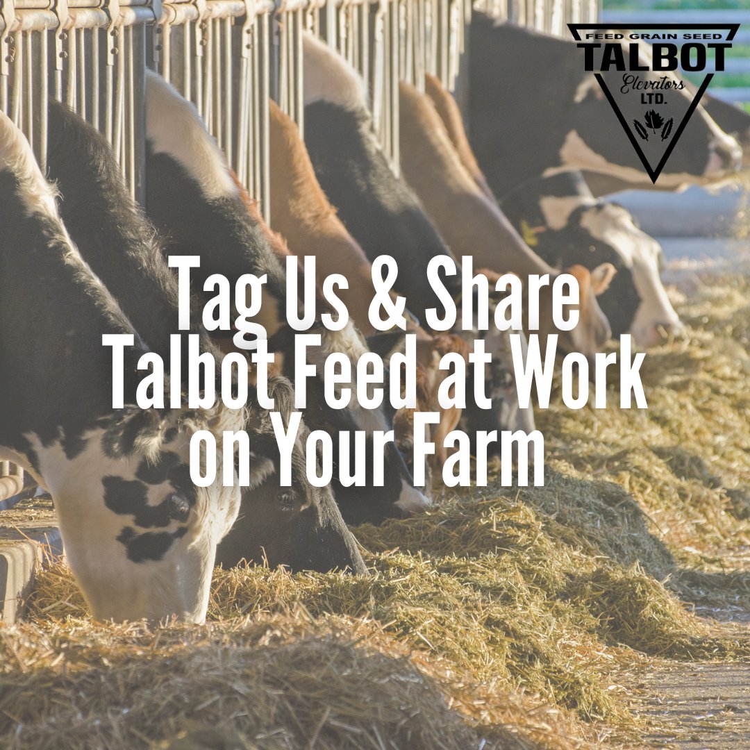 We want to see Talbot Feed at work on your farm!
Send us your photos or tag us for a chance to be featured!
52744 Talbot Line Aylmer, ON
Bagged, toted and bulk diets available pickup or delivery
Stop in M-F 8:30 - 3:00
office@talbotelevators.com
519-773-2165
#feedmill #feedstore