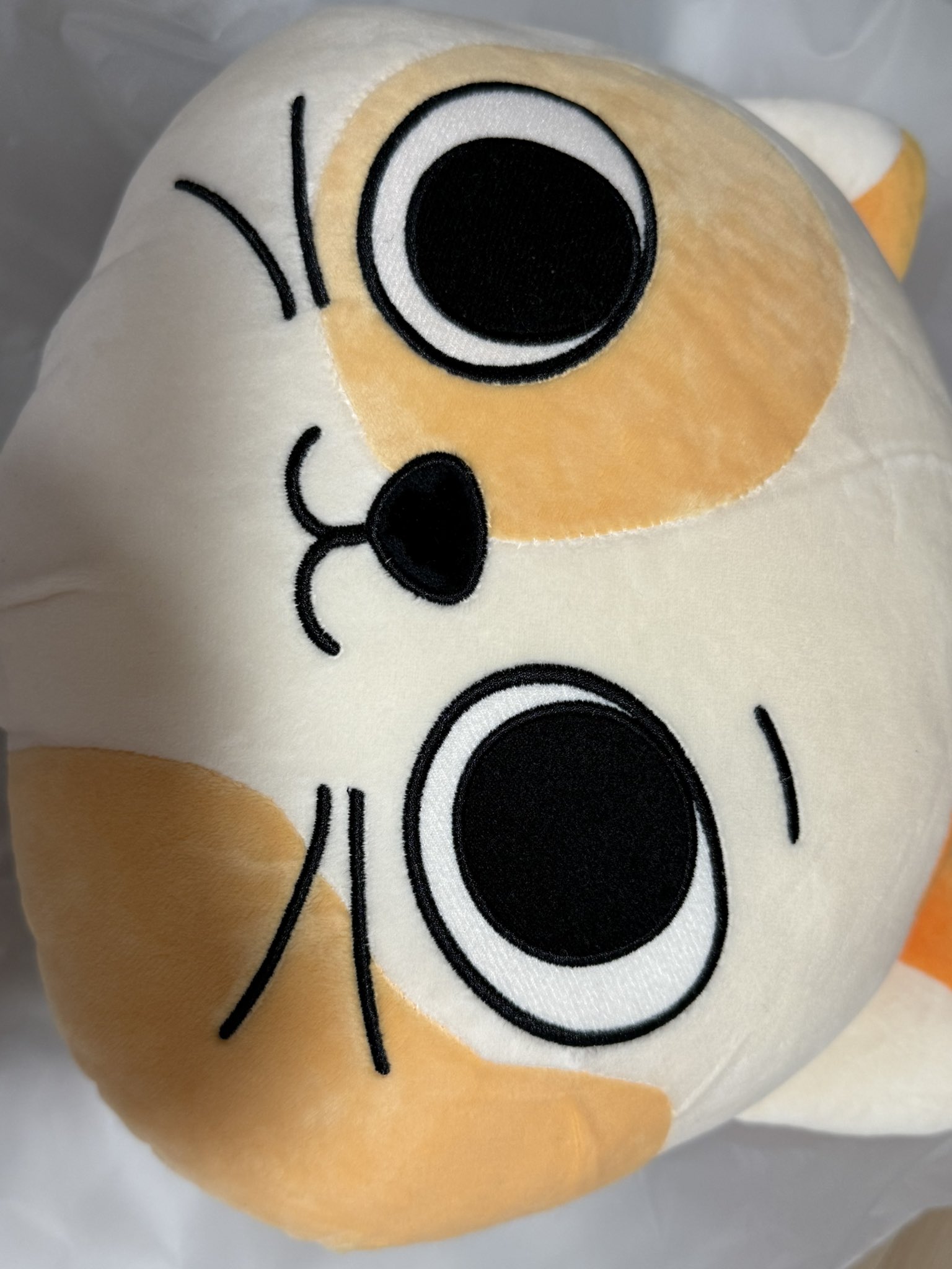 プネクド BBNEXDO ケッピ CATBBI クッション プネクド BBNEXDO ケッピ CATBBI クッション