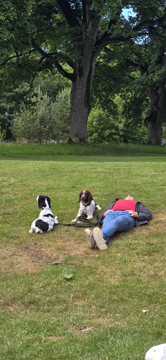 I've seen this phrase used quite a lot but, 'tell me you were at Hampden on Saturday without telling me you were at Hampden on Saturday'
#COYR #scottishcupwinners2025  #StandFree