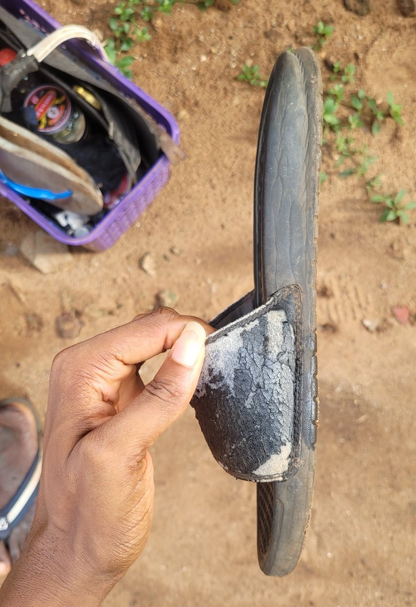 Daniel Regha tweet media