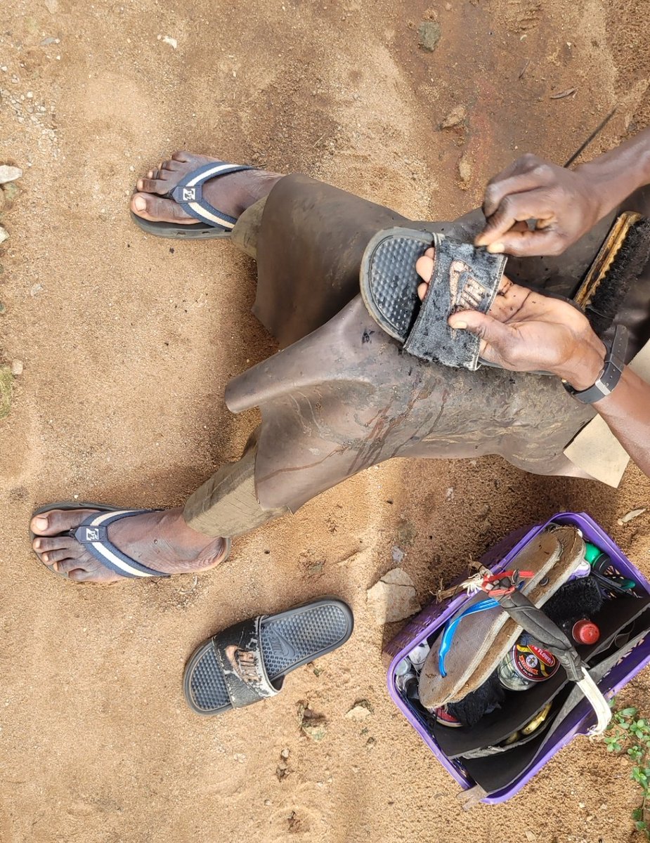 Daniel Regha tweet media