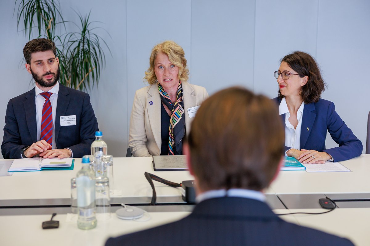 Oliver Varhelyi tweet media