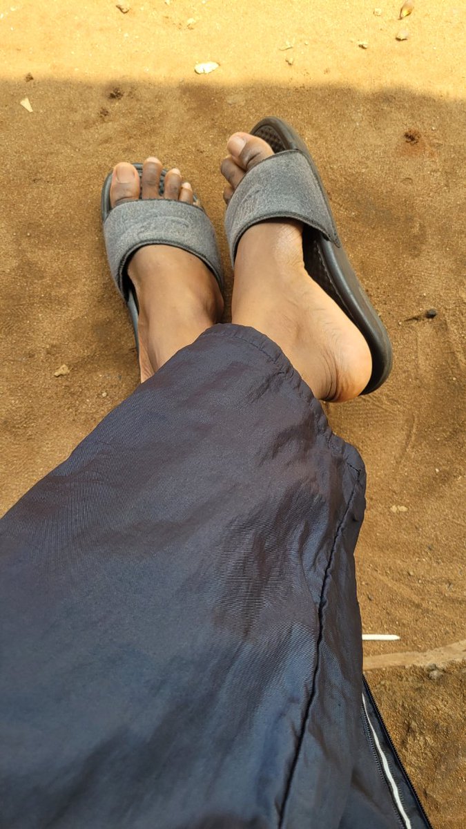 Daniel Regha tweet media