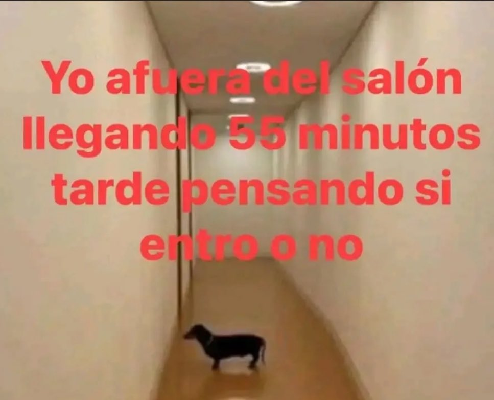 memefeos's tweet photo. https://t.co/OXnbRd77L3