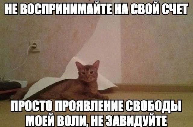 Mrs_Dudins's tweet photo. @lotareva3 https://t.co/6qcJCZKTC8