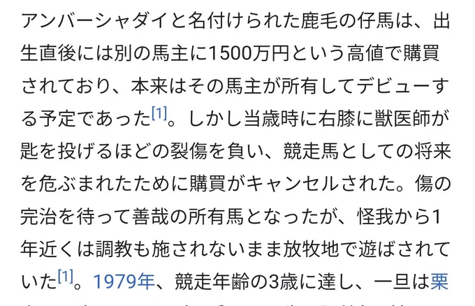 タッカーブライン=アンバーシャダイ(ライアンの父)説外見と服がライアンに似ていて、髪の色は名前の語源でコハクになった。顔と腕にある傷跡も幼い頃負傷したことに対する考証か··· 
