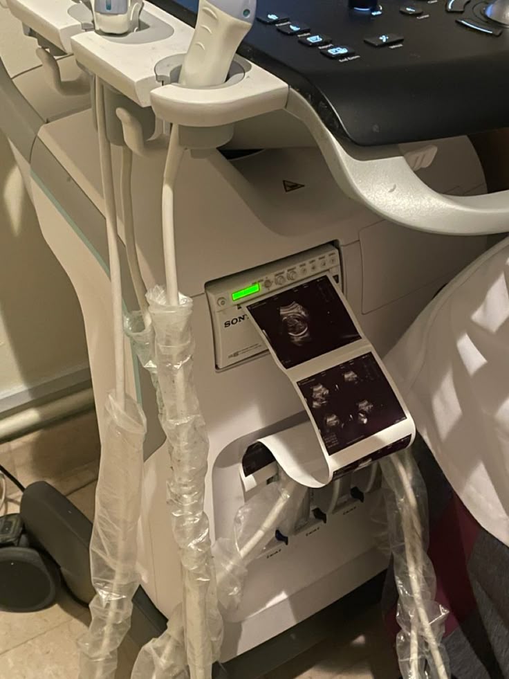 Lynne Ashvale tweet media