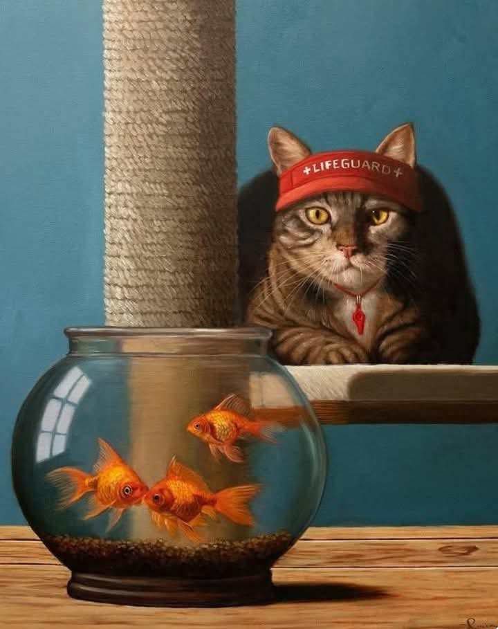 Кот - это голос , вынесенный вами за пределы вашего тела чтобы читать то, что вам нужно, вы сами вызвали ката и он вам клипает чо вам нада и када нада , вы так захотели, ибо сваяму вуму не верили и от вызвали ката .

... ты спасение , придуманное мною ...