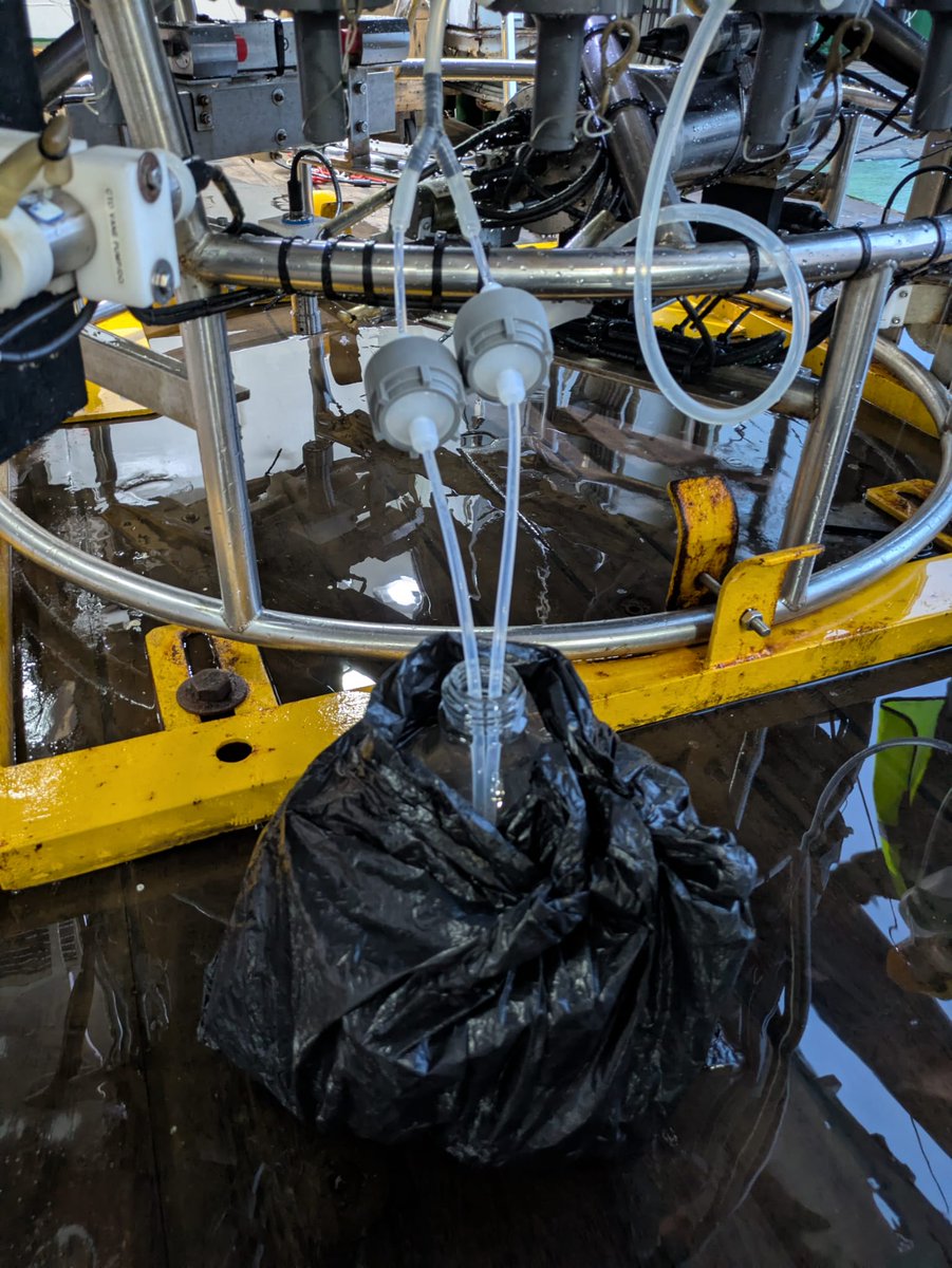 simolab_'s tweet image. First CTD cast for sulfur incubation today on board the RV Discovery. Pre-dawn conditions to look at the effect of #photochemistry on the removal rates of key #sulfur #volatiles

@simolab_ @EDeschaseaux @lidejvv