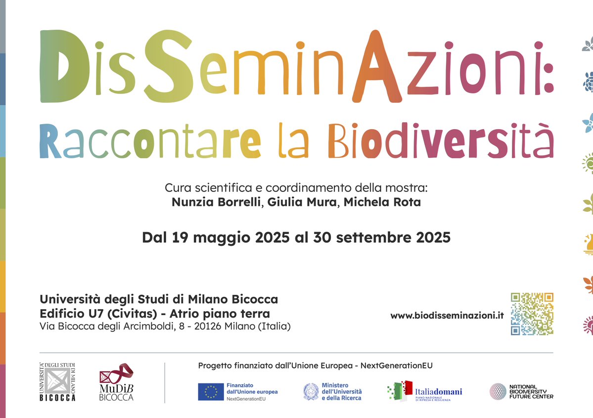 AIS Ambiente e Territorio (@summerschoolai1) on Twitter photo 🌎DisSeminazioni: raccontare la #biodiversità 🌿
🗓️Fino al 30 settembre 2025
📍Università di #Milano Bicocca <a href="/unimib/">Università degli Studi di Milano-Bicocca</a> | U7 (Civitas) 🌎DisSeminazioni: raccontare la #biodiversità 🌿
🗓️Fino al 30 settembre 2025
📍Università di #Milano Bicocca <a href="/unimib/">Università degli Studi di Milano-Bicocca</a> | U7 (Civitas)
