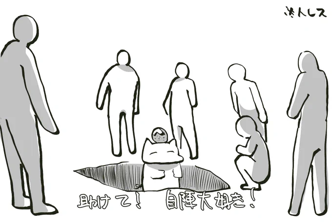 ◤ 5日目 セーブ 