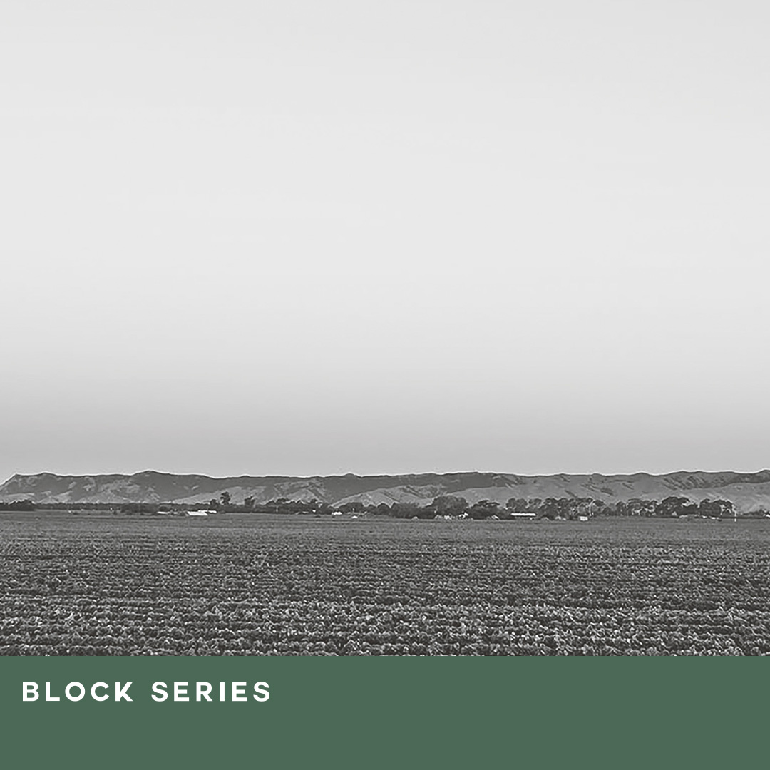Morrisons's tweet image. The Best Block Series 002 Dillons Point Sauvignon Blanc Grab a bottle today for £14 or just £9 with your More Card!
