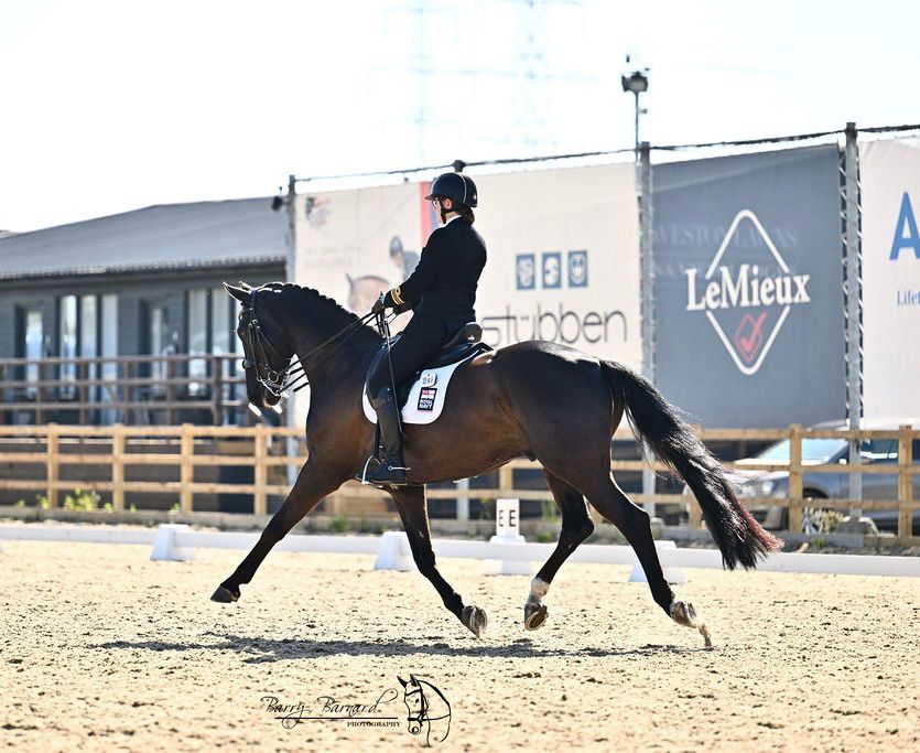 Lt Cdr Jill Monnox and her horse Sunny became Military Advanced Medium Reserve Champions at the 2025 UK Armed Forces Dressage Championships. 

While Lt Patrick Millington made his Dressage Champs debut with Epasja, competing in the Intro Championship classes. 

#royalnavy #sport