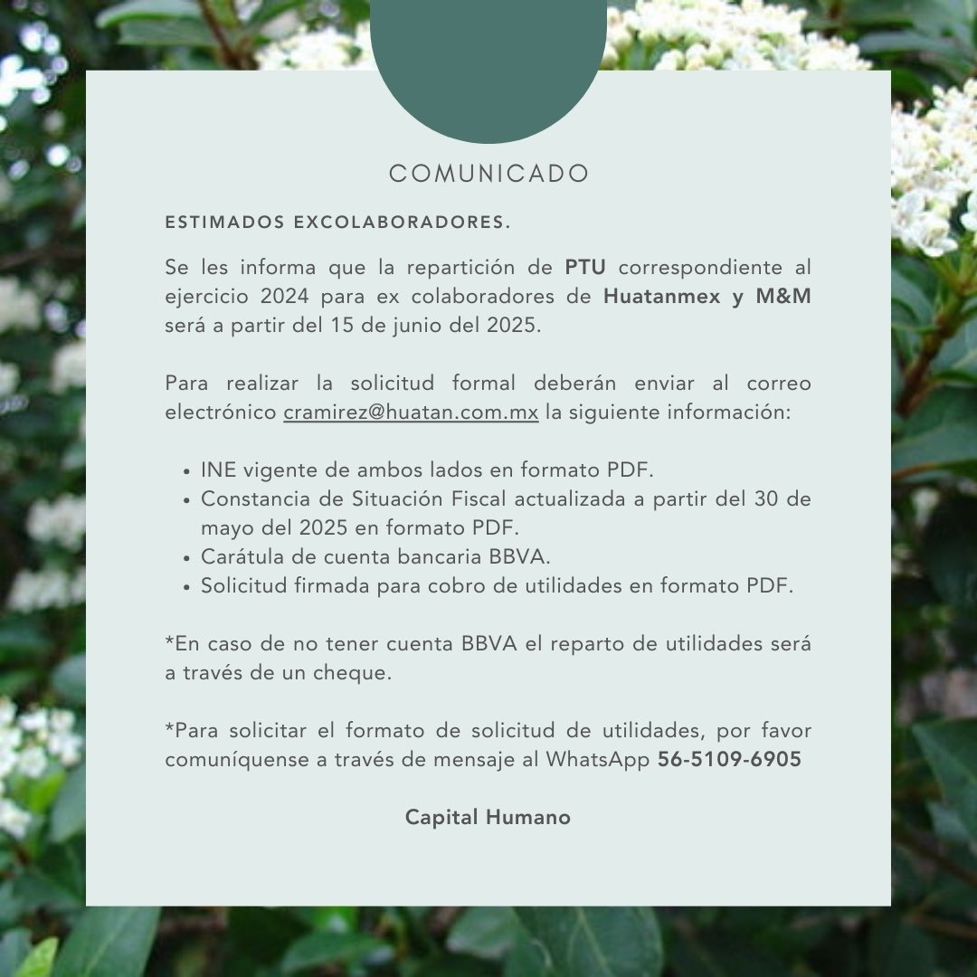 huatanmx tweet media